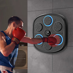 Music Boxing Target Training Wall