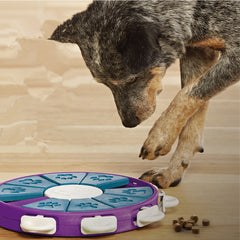 PawSmart Interactive Dog Educational Toy