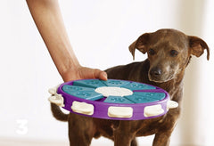 PawSmart Interactive Dog Educational Toy