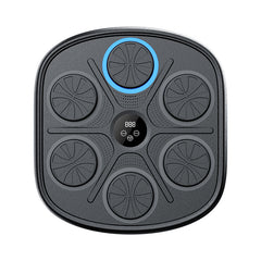 Music Boxing Target Training Wall