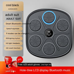 Music Boxing Target Training Wall